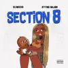 Kyyng Major - Section 8 - Single